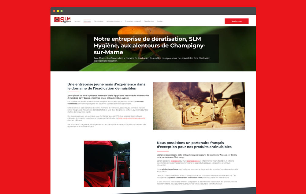 Mockup du design du site